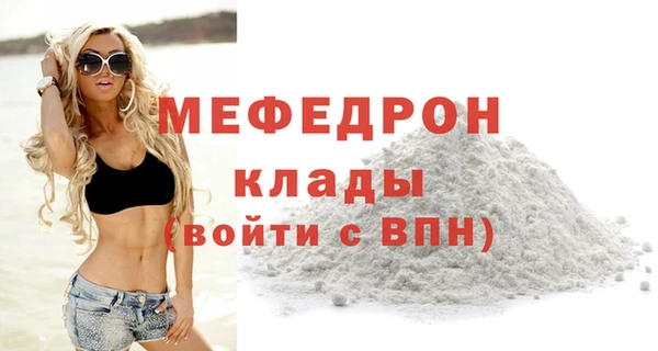 амф Ельня