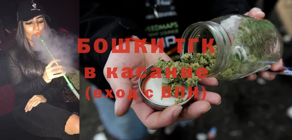 амф Ельня