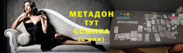 амф Ельня