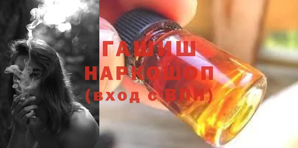 амф Ельня