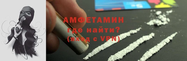 амф Ельня