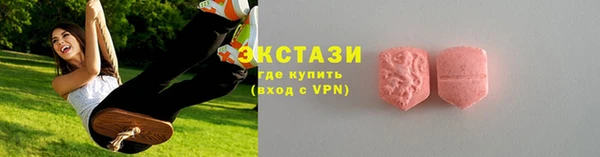 амф Ельня