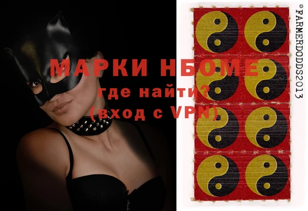 амф Ельня