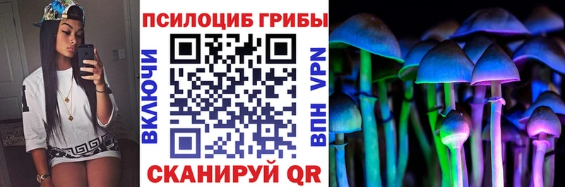 Псилоцибиновые грибы Psilocybine cubensis  OMG маркетплейс  Красный Кут 